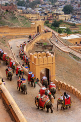 Canvas Print - Decorated elephants going on the cobblestone path to Amber Fort