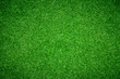 © releon8211 - green grass background