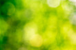 © Pakhnyushchyy - green bokeh background