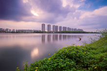 Condominium, Building Beside Lake With Shrub And Yellow Flower In Foreground, Blue Sky And Cloud In Long Exposure