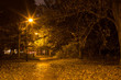 © VisualOutset - London park at night
