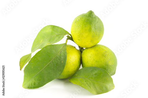 500_F_129093621_kQntED79x2itZTOXwkRRjbwuEfuCi3KJ.jpg