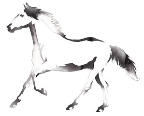 black and white monochrome painting with water and ink draw horse illustration