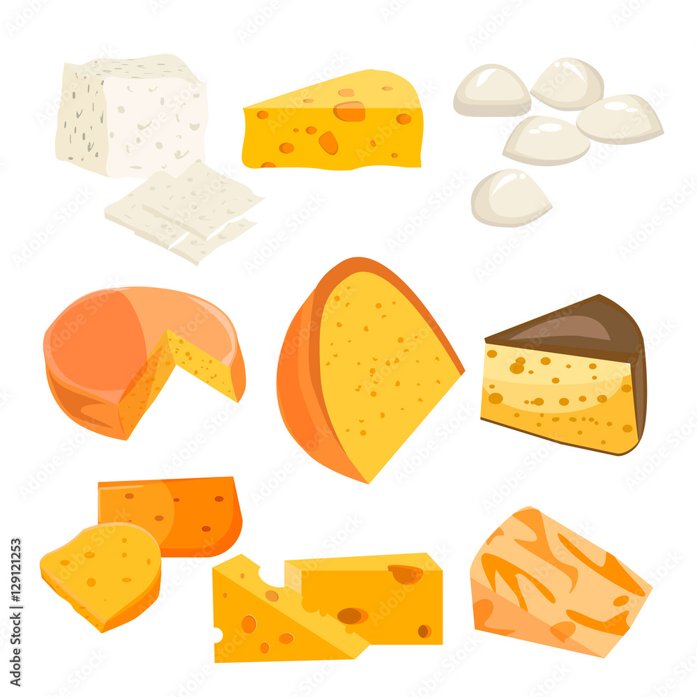 Cheese Types Vector Cheese types. Modern flat style realistic vector illustration icons ...