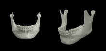 3d Rendering Illustration Of Jaw Bone