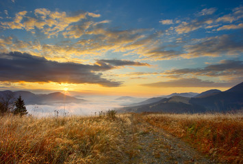 grass and sunrise in carpathians