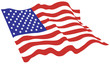 American flag vector color