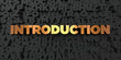 Introduction - Gold text on black background - 3D rendered royalty free stock picture. This image can be used for an online website banner ad or a print postcard.