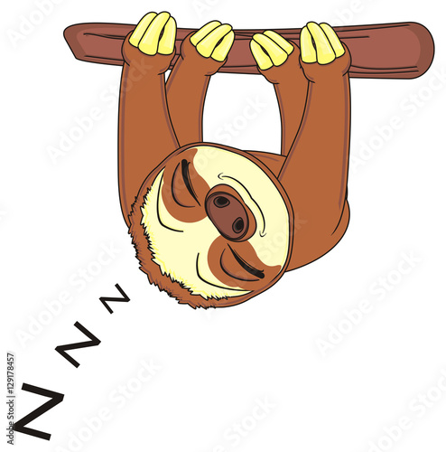 Animal Fauna Monkey Slow Sloth Cartoon Zoo Claw Kind Cute Face Profile Sleep Z Climb Tree Buy This Stock Illustration And Explore Similar Illustrations At Adobe Stock Adobe Stock