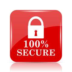 Poster - 100 percent secure icon