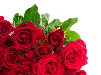 Bouquet of dark red rose buds with green leaves close up isolated on white background