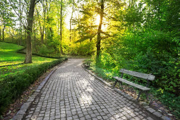 Wall Mural - paved path in a park