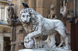 historic Lion sculpture in Florence, Italy