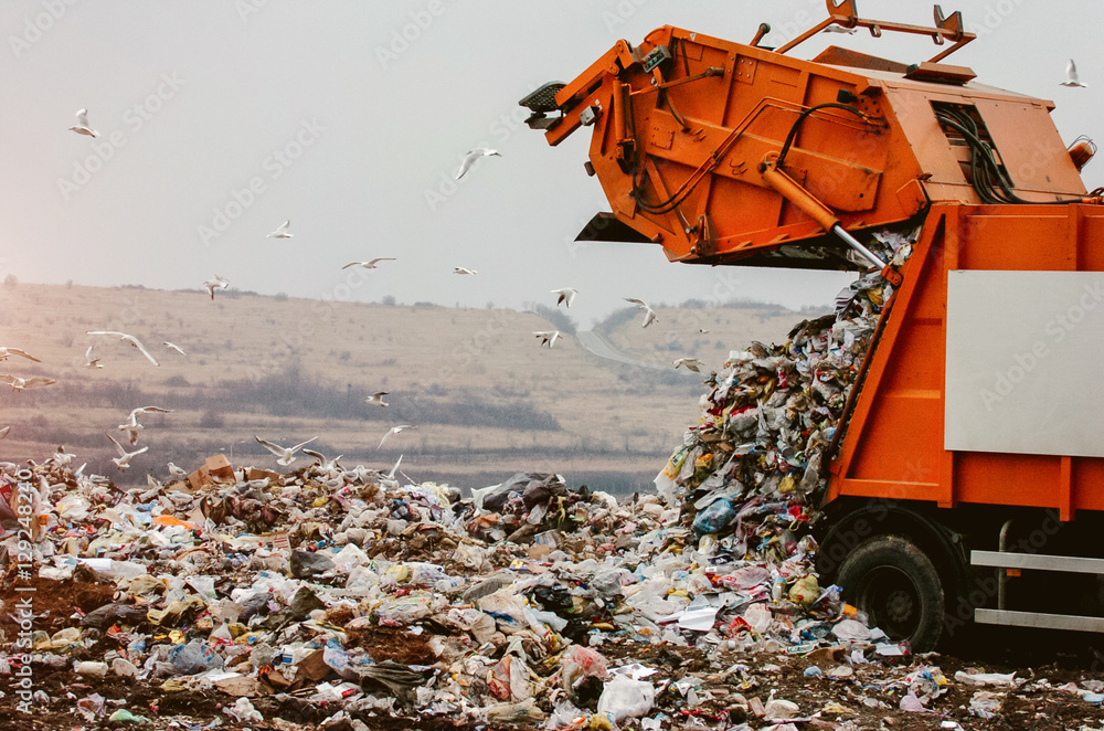 Garbage truck dumping the garbage on a landfill  - obrazy, fototapety, plakaty 