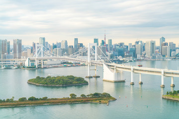 Wall Mural - Tokyo skyline with Tokyo tower and rainbow bridge.