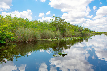 Wall Mural - Florida wetland, Airboat ride at Everglades National Park in USA