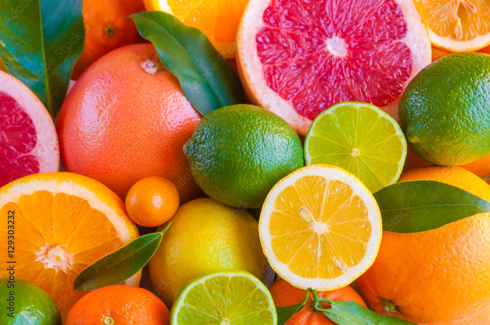 Obraz na płótnie Various citrus fruits (orange, grapeftuit, lemon, mandarine, lime) w salonie