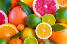 Various Citrus Fruits (orange, Grapeftuit, Lemon, Mandarine, Lime)