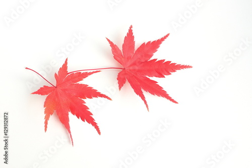 料理の盛り付け飾り用の紅葉もみじ Stock 写真 Adobe Stock 料理の盛り付け飾り用の紅葉もみじ Stock 写真 Adobe Stock