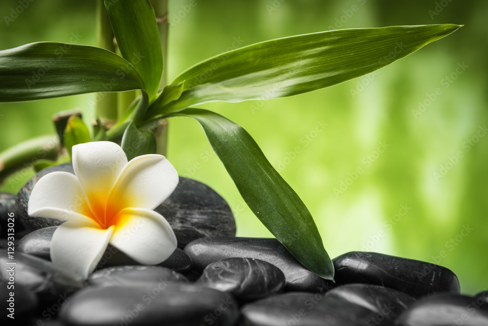 frangipani-i-bambus-na-kamieniach-bazaltowych-zen