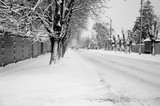 Fototapeta Miasta - Cars on a road after snowfall