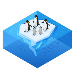 Canvas Print - Isometric 3d vector realistic style illustration of penguins on the glacier