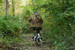© Kzenon Premium - Truffle hunter and his dog walking through forest