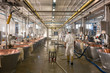 © Kzenon Premium - Hall in food factory where cheese is being made from curd in