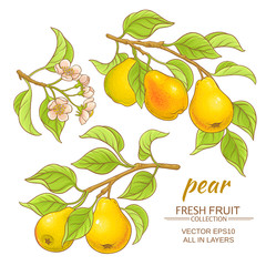 Sticker - pear vector set