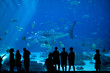 crowd at an aquarium