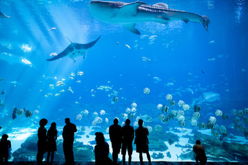 Canvas Print - Aquarium in Atlanta, Georgia