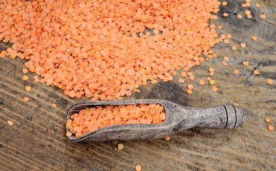 Wall Mural - lentil in scoop on table