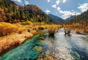 Sticker - Scenic river with crystal water among fall woods and mountains