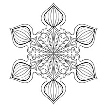 Vector Snow Flake In Zentangle Style, Doodle Mandala For Adult C