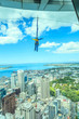 Bungee jumping from Auckland sky tower.