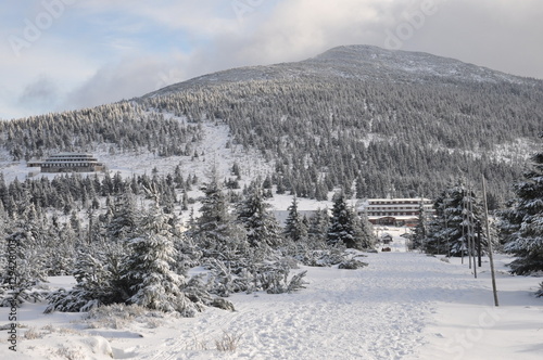Fotomural Winter im tschechischen Riesengebirge/Krkonoše