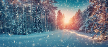 Winter Panorama On The Road Through Coniferous Forest
