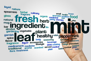 Poster - Mint word cloud