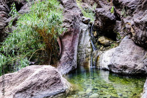 Cuadros en Lienzo famous masca gorge - tenerife - spain