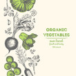 Organic food card design. Farmers market menu design. Organic food poster. Vintage hand drawn sketch vector illustration. Linear graphic