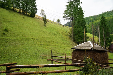 Canvas Print - Beautiful hills of the Carpathian mountains