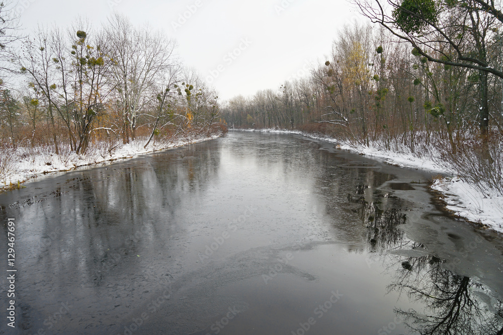 Beautiful view of river in winter forest