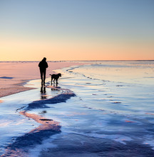 Man Walking Dog On Icy Sea, Finland 
