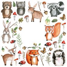 Cute Woodland Animals Watercolor Images Kindergarten Zoo Icons