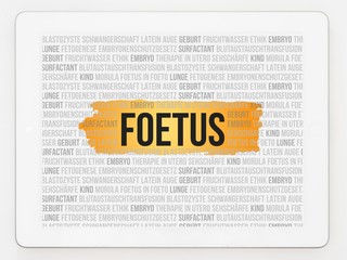 Canvas Print - Fötus