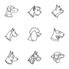 Wall Mural - Dog icons set. Outline illustration of 9 dog vector icons for web