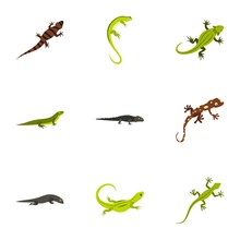 Iguana Icons Set. Flat Illustration Of 9 Iguana Vector Icons For Web
