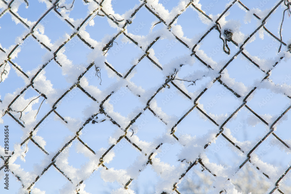 snow on the frosty steel fence in winter after bli WallsHeaven fotoduets