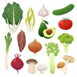 Cute and tasty vegetables collection. Vector illustration.