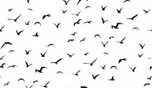 Seagulls Flying In The Sky, Seamless Vector Pattern